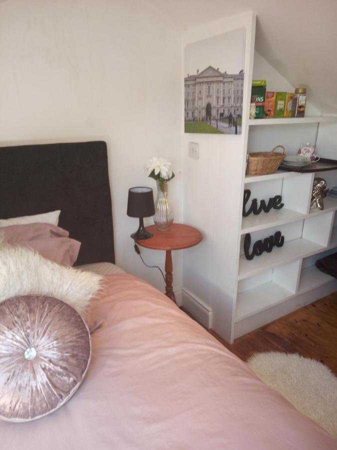 A Cosy Dublin Room Exteriör bild